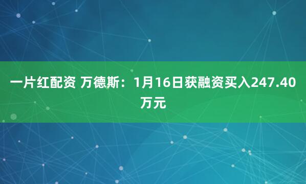 一片红配资 万德斯：1月16日获融资买入247.40万元