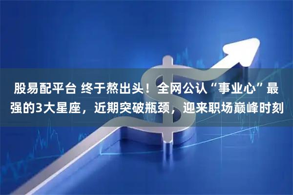 股易配平台 终于熬出头！全网公认“事业心”最强的3大星座，近期突破瓶颈，迎来职场巅峰时刻