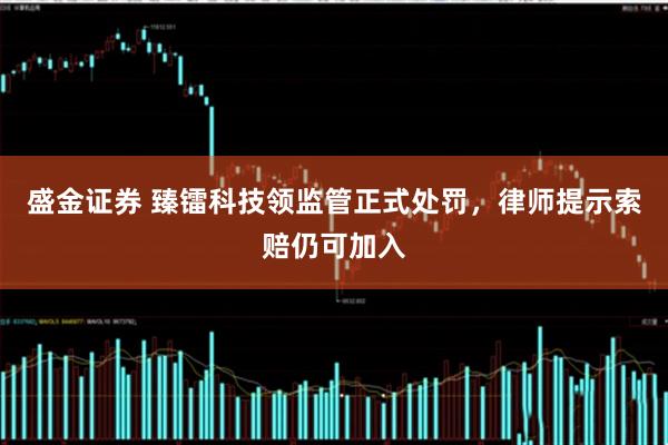 盛金证券 臻镭科技领监管正式处罚，律师提示索赔仍可加入